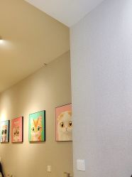 -洗脸猫·洗脸吧