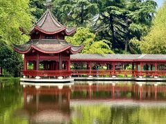 -橘子洲景区