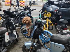 -味多美蛋糕(潘家园店)