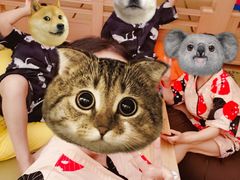 -蓝鲸湾汤泉(包河店)