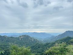 -大岭沟猕猴桃谷风景区