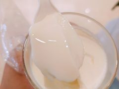 -连杏双皮奶(长沙国金店)