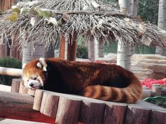 -北京野生动物园