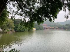 -珠海圆明新园