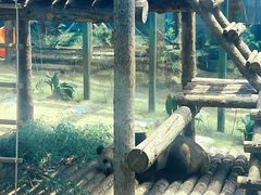 -大连森林动物园