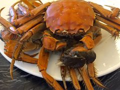 -东方红海鲜百汇(国际大厦店)