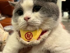-甬上名灶(天一阁·翠柏店)