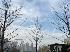-西北湖绿化广场