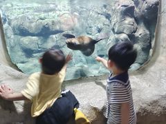 -南昌海洋公园