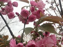 -蛙三泡椒牛蛙(万象城店)