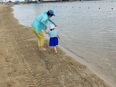 -碧海金沙