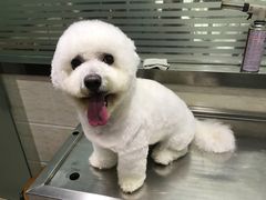 -暖阳宠物医院·犬猫康复中心·骨科