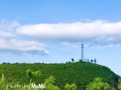 -白草畔自然风景区