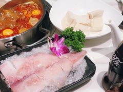 -新一哥粤菜火锅(瑞金店)