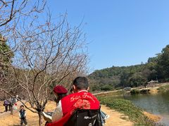 -南国桃园旅游度假区