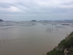 -北岐滩涂