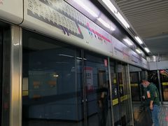 -大龙山(地铁站)