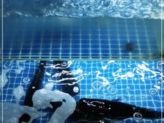 -红烧鱼头·杭帮菜·特色烧烤