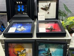-重庆国际会议展览中心