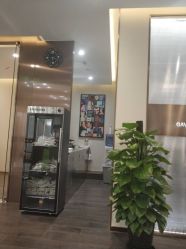 -崇尚GAVIN STYLE臻选