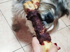 -全心全意连锁动物医院·特色中医诊疗(会城门分院)