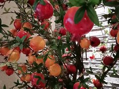 -诺筵汤品·菌汤火锅(南河坝店)