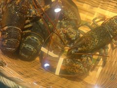 -拉完海鲜大排档(温岭店)