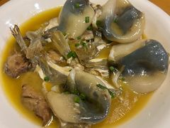 红烧河豚-9号小厨师(端平桥店)