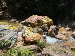 -南海湾森林生态园