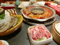 -一斗火锅·招财羊毛肚(北温泉九号店)