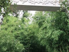 -竹子庵公园