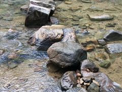 -广州白江湖森林公园