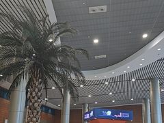 -开罗国际机场