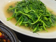 鸡汁豆苗-老吴家川菜(昭化路店)