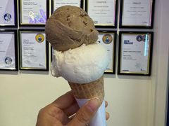 -Dooley's Premium Ice Cream