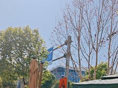 -后湖小院·乡野田园菜