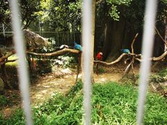 -宁波野生动物园