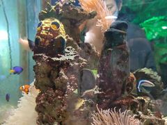 -太平洋海底世界