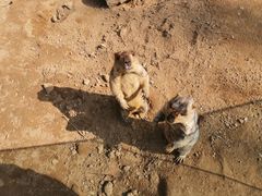 -北戴河集发农业梦想王国