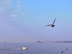 -悦海公园