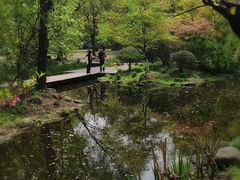 -上海共青森林公园