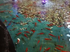 -水晶之星洗浴温泉汗蒸