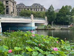 -新江湾城公园