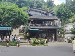 -龙井村