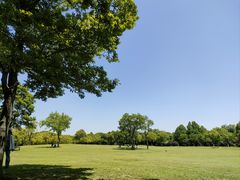 -上海吴淞炮台湾国家湿地公园