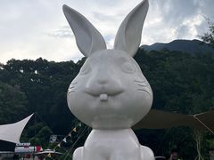 -梧桐山风景名胜区