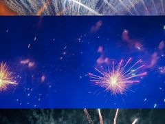 -花博汇(知音花月夜)