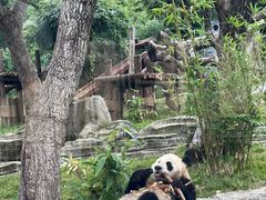 -武汉动物园