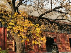 -香山公园