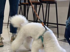 -佳雯宠物医院(四明中路分院)